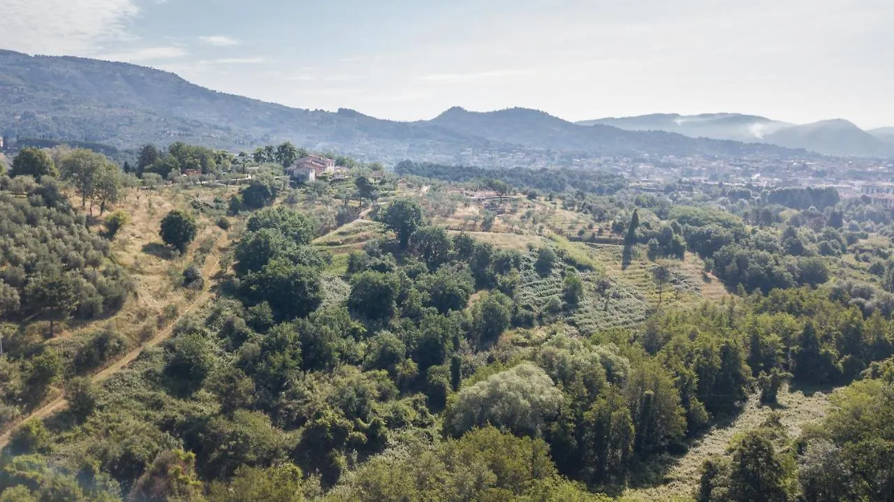 Terre Di Cocomo Borgo a Buggiano 0*,  Itália