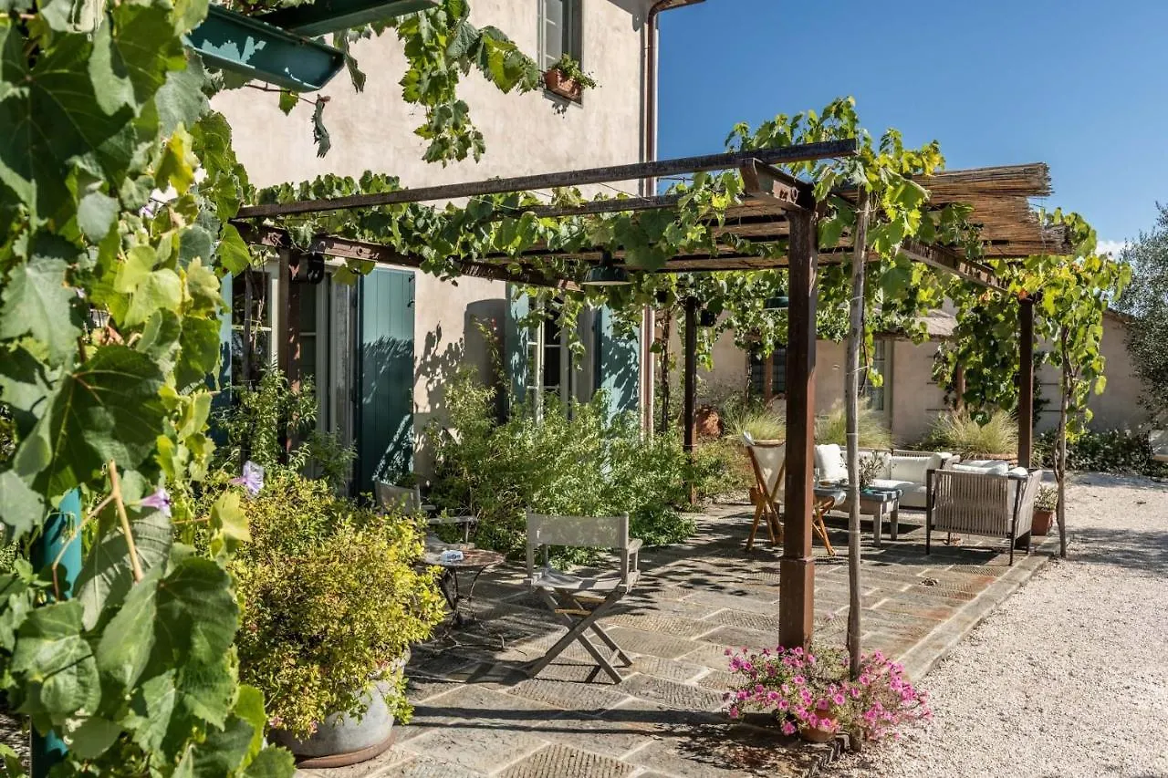 Terre Di Cocomo Borgo a Buggiano 0*,