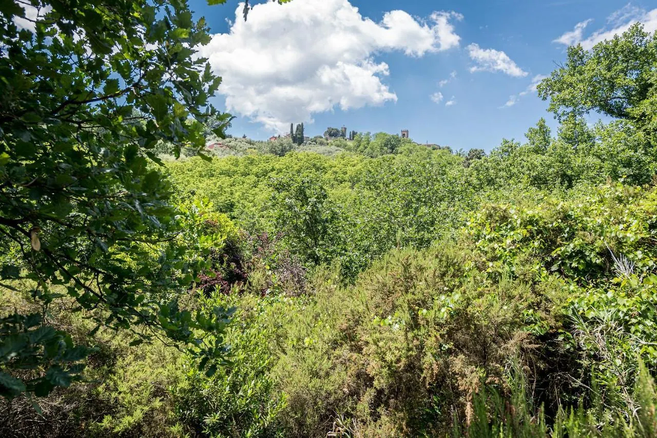 Terre Di Cocomo Borgo a Buggiano
