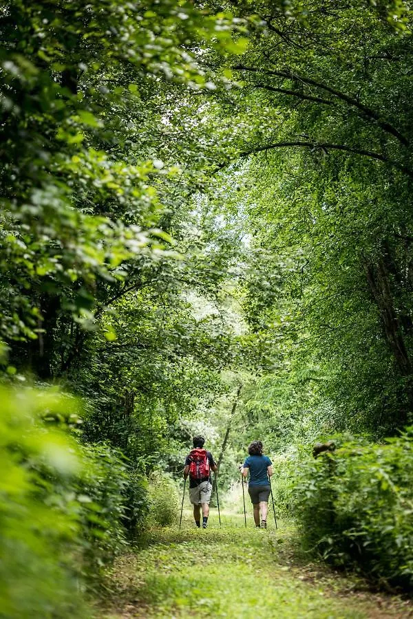 Alojamento de Turismo Rural Terre Di Cocomo Borgo a Buggiano