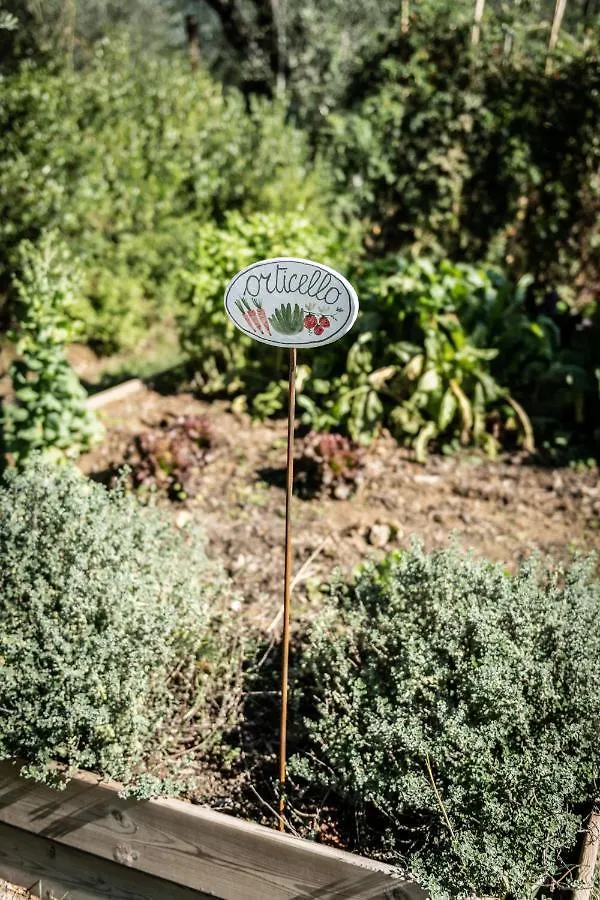 Terre Di Cocomo Borgo a Buggiano