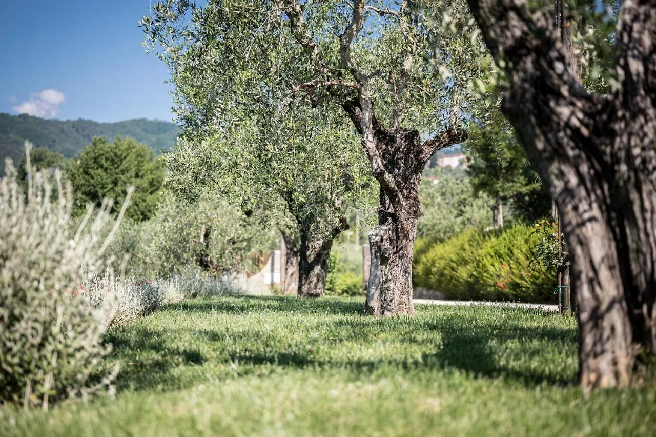 Terre Di Cocomo Borgo a Buggiano 0*,  Itália